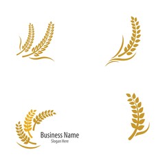 Wheat logo template vector icon