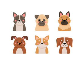 Fototapeta premium Cute dogs collection, isolated on white background