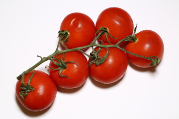 tomato for product
