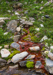 Mountain river, water and red rocks