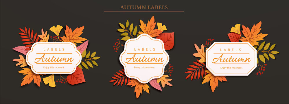 Autumn foliage label design