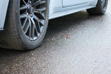 Car wheels on wet asphalt