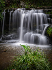 Obraz premium waterfall in the forest