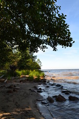 sandy shore of the Northern lake on a Sunny day