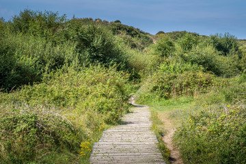 Fototapeta na wymiar Boardwalk path through sand dunes near Crow Point, North Devon, UK.