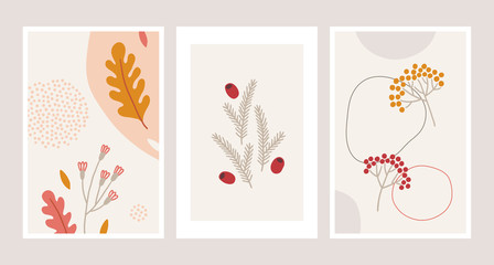 Abstract autumn greeting cards with leaves, flower, berry, fir branches