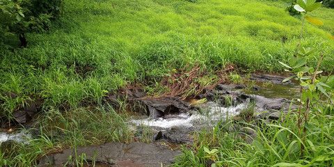 water flowing into the river