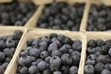 Heidelbeeren Blaubeeren Obst