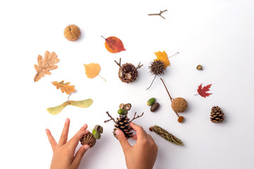 leaf and pine cone craft for kids, autumn craft for preschooler