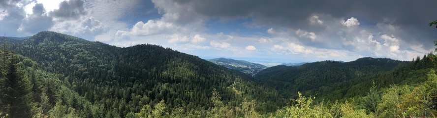 Fototapeta na wymiar Schwarzwald Black Forest