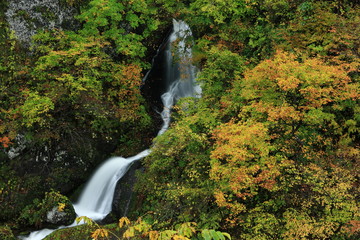 紅葉の亀の滝