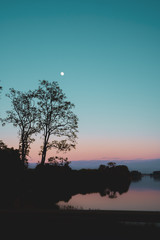 Beautiful summer sunset at the lake with gradient sky, silhuette of trees, moon and water with reflection.