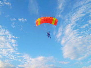 Fototapeta na wymiar A skydiver with a bright orange parachute flies against a blue sky with white sparse clouds