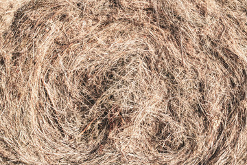 Closeup of golden hay roll circular haystack showing straw texture