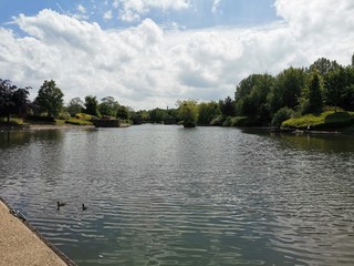 lake in the park