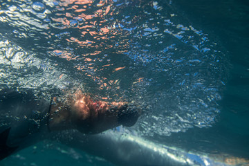 underwater action portrait of man swimming.