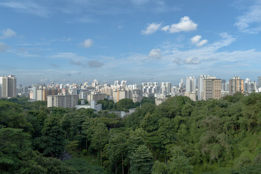 Singapore Skyline From Henderson Waves