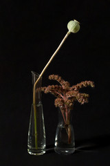 Flower arrangement on a black background