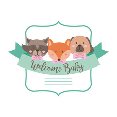 baby shower frame card with animals and welcome baby lettering hand draw style