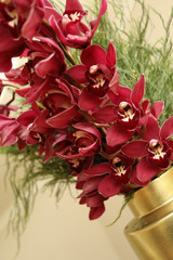 Red Orchids in a gold vase.