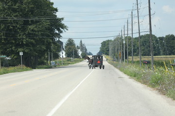 カナダのオンタリオ州セント・ジェイコブスで電気や自動車を使わない昔ながらの生活を送るメノナイトの人たちの交通手段の馬車。映画でで有名になったアメリカのアーミッシュは、もっと厳格。