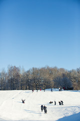 Sunny winter snow downhill sledge family fun 