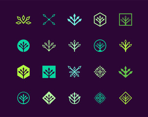 Geometry plant logo design, set of simple abstract templates for logo
