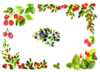 Framing from elements of wild berries (wild strawberries, raspberries, cranberries, blueberries) on a white background. Watercolor illustration.