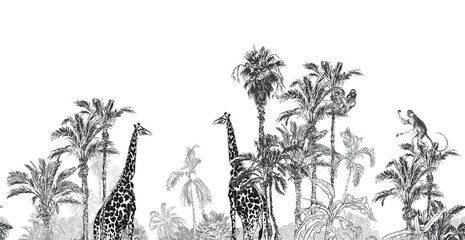 Panorama View Giraffe in Jungle Trees, Palms Wildlife Etching Black and White Seamless Border Back Drop Toile - 372225432