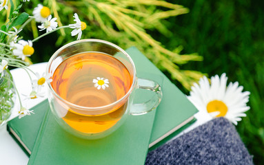 Glass cup of herbal tea with chamomile flower on books, warm green plaid, bouquet of rustic daisies...