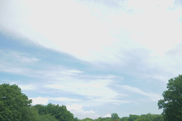 Fototapeta premium landscape of sky ,clouds, and tree