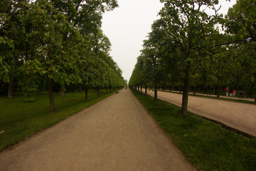 St. Petersburg. Russia. Petersburg architecture. Petersburg parks and museums. Summer in St. Petersburg. Travel across Russia.