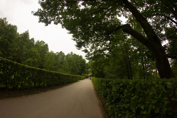 St. Petersburg. Russia. Petersburg architecture. Petersburg parks and museums. Summer in St. Petersburg. Travel across Russia.
