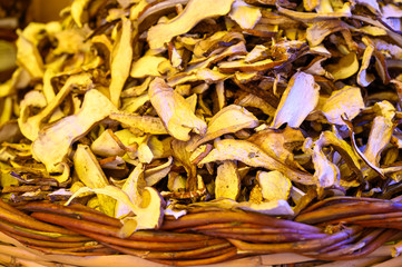 New harvested dried white porcini boletus mushrooms in shop, Nemi, Castelli Romani, Italy