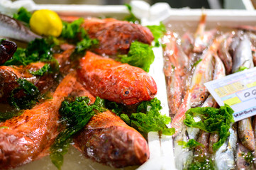 Catch of the day, fresh fish and sea food on ice in fish restaurant in Terracina, Italy