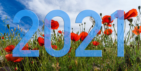 2021. New year. Text with the numbers on an image of a poppy landscape with blue sky.