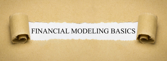 Financial Modeling Basics