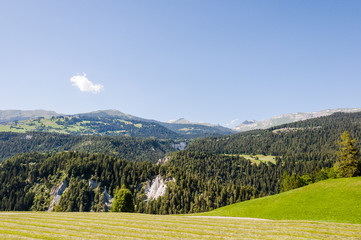 Obraz premium Rheinschlucht, Rhein, Ruinaulta, Fluss, Schlucht, Ilanz, Reichenau, Vorderrhein, Flussbett, Surselva, Wanderweg, Bergstrasse, Graubünden, Sommer, Alpen, Schweiz