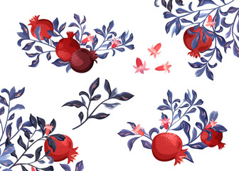 Decorative composition and frame with pomegranate on a white background. Plant elements set.