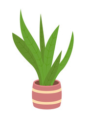 Pot with houseplant isolated at white background. Vector flowerpot of decorative green plant with long leaves in ceramic pot. Indoor plant concept of domestic greenery. Icon for home interior plant