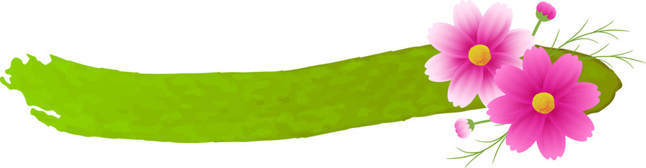 ピンクのグラデーションのコスモスの装飾付きの、水彩絵の具のライン、バナー、コピースペース