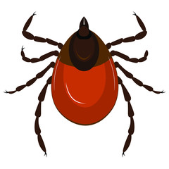 Red tick on a white background. Vector illustration