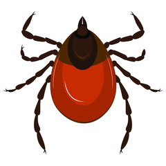 Red tick on a white background. Vector illustration