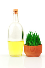 Glass bottle and sprouts of wheat in wooden bowl isolated - 372236610
