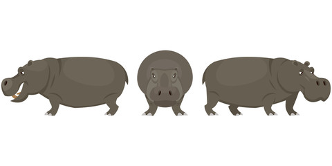 Hippopotamus in different poses. African animal in cartoon style.