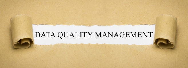 Data Quality Management
