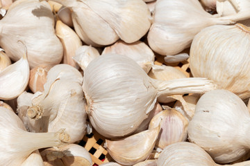 White garlic pile texture. Fresh garlic on market table closeup photo. Vitamin healthy food spice image. Spicy cooking ingredient picture. Pile of white garlic heads. White garlic head heap top view