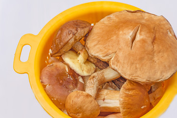 Top view of forest mushrooms after washing them in a colander on a white surface close up