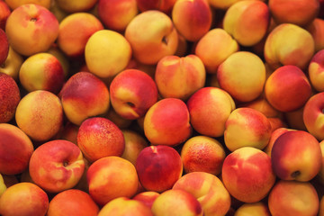 A background depicting many bright, ripe, delicious nectarine fruits that are sold in a grocery store. A rich harvest of fruit. Agricultural industry.