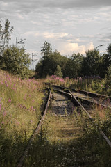 railway in the forest